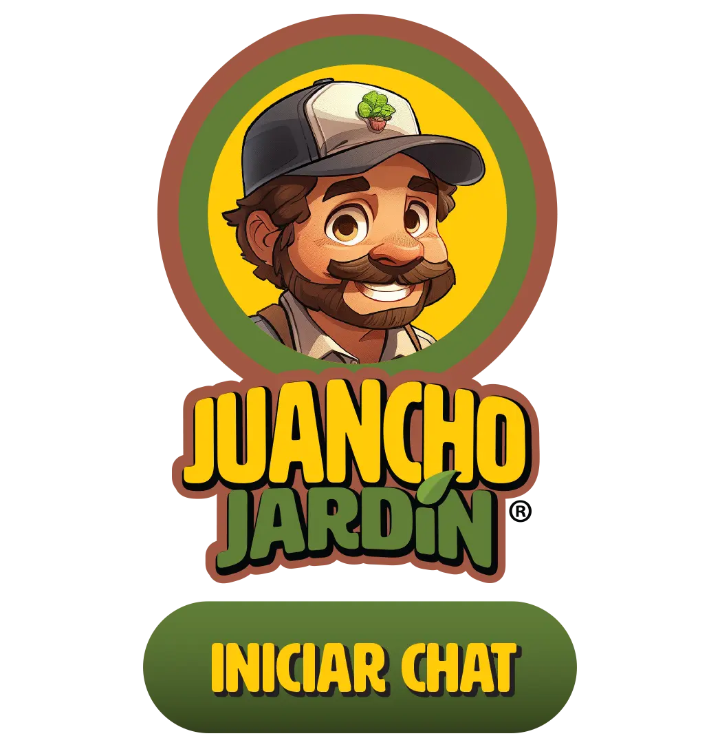 ChatGPT - Juancho Jardín