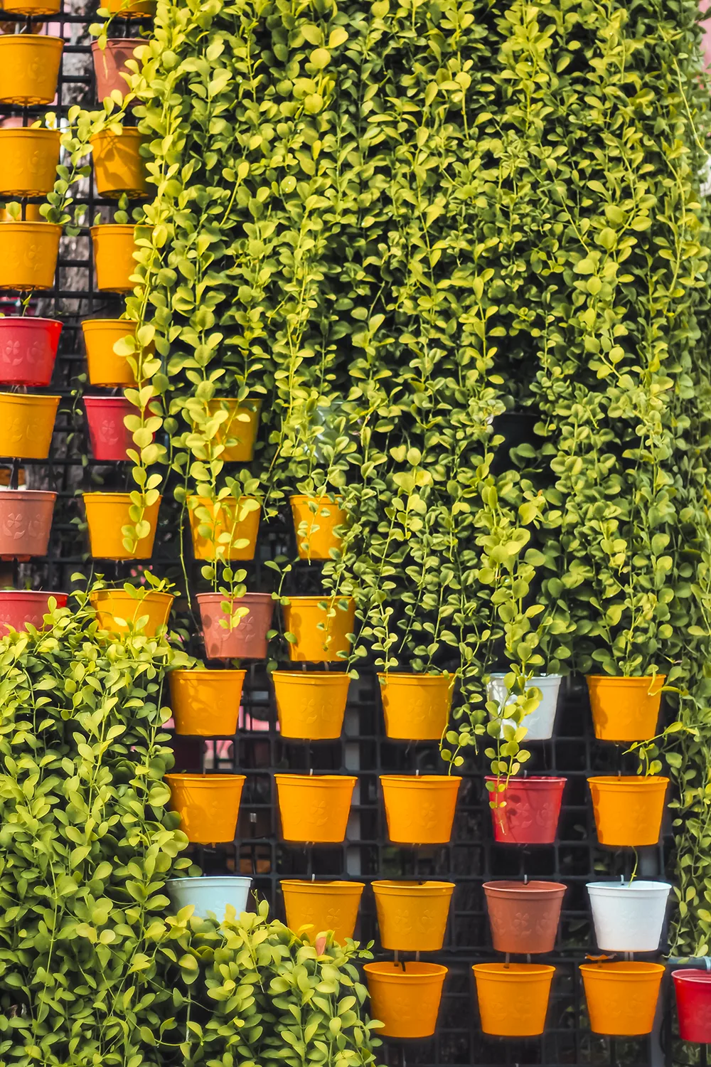 Jardín Vertical