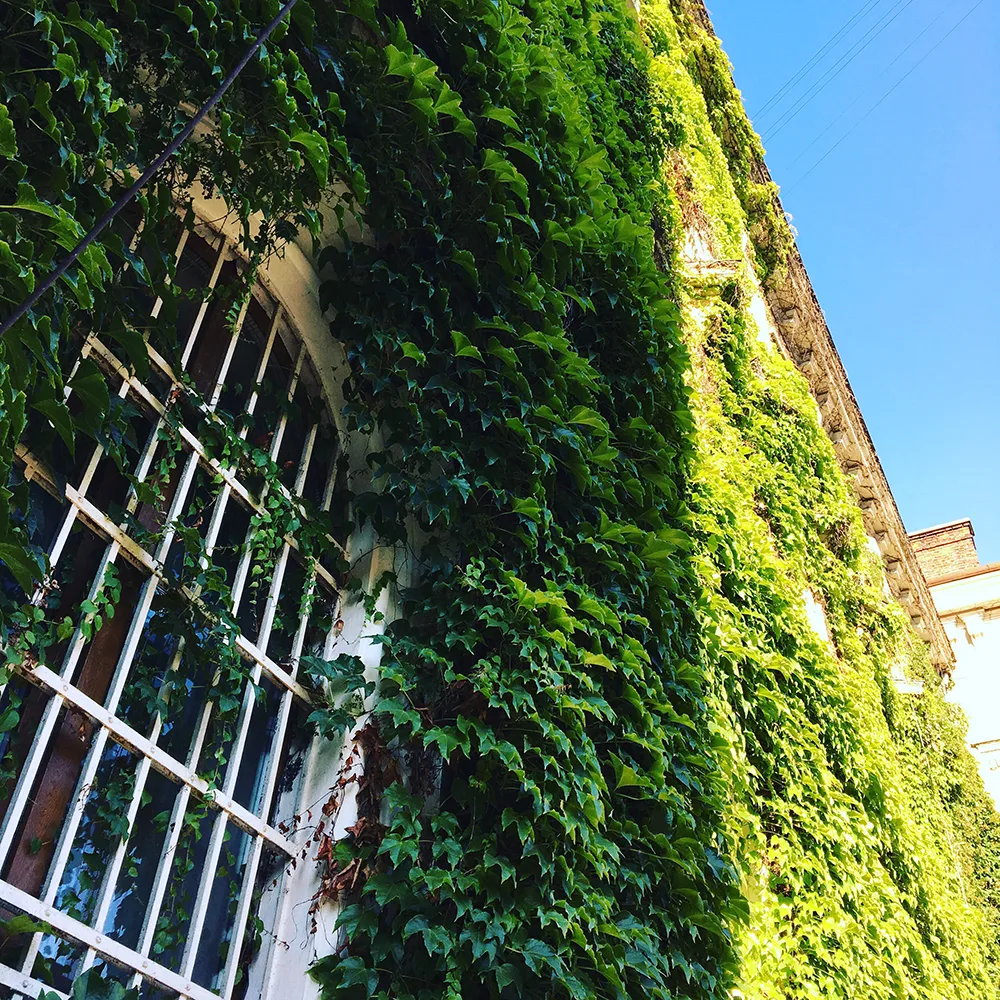 Jardín Vertical en Casa