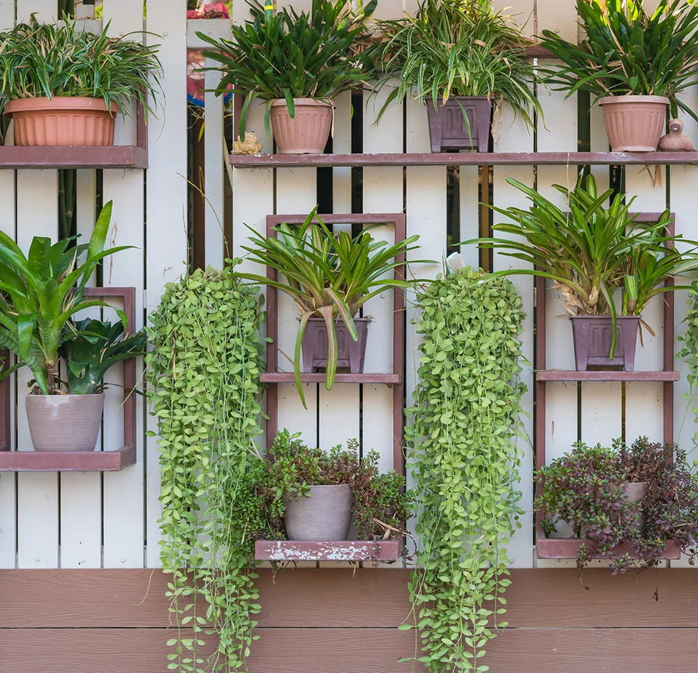 Jardines Verticales