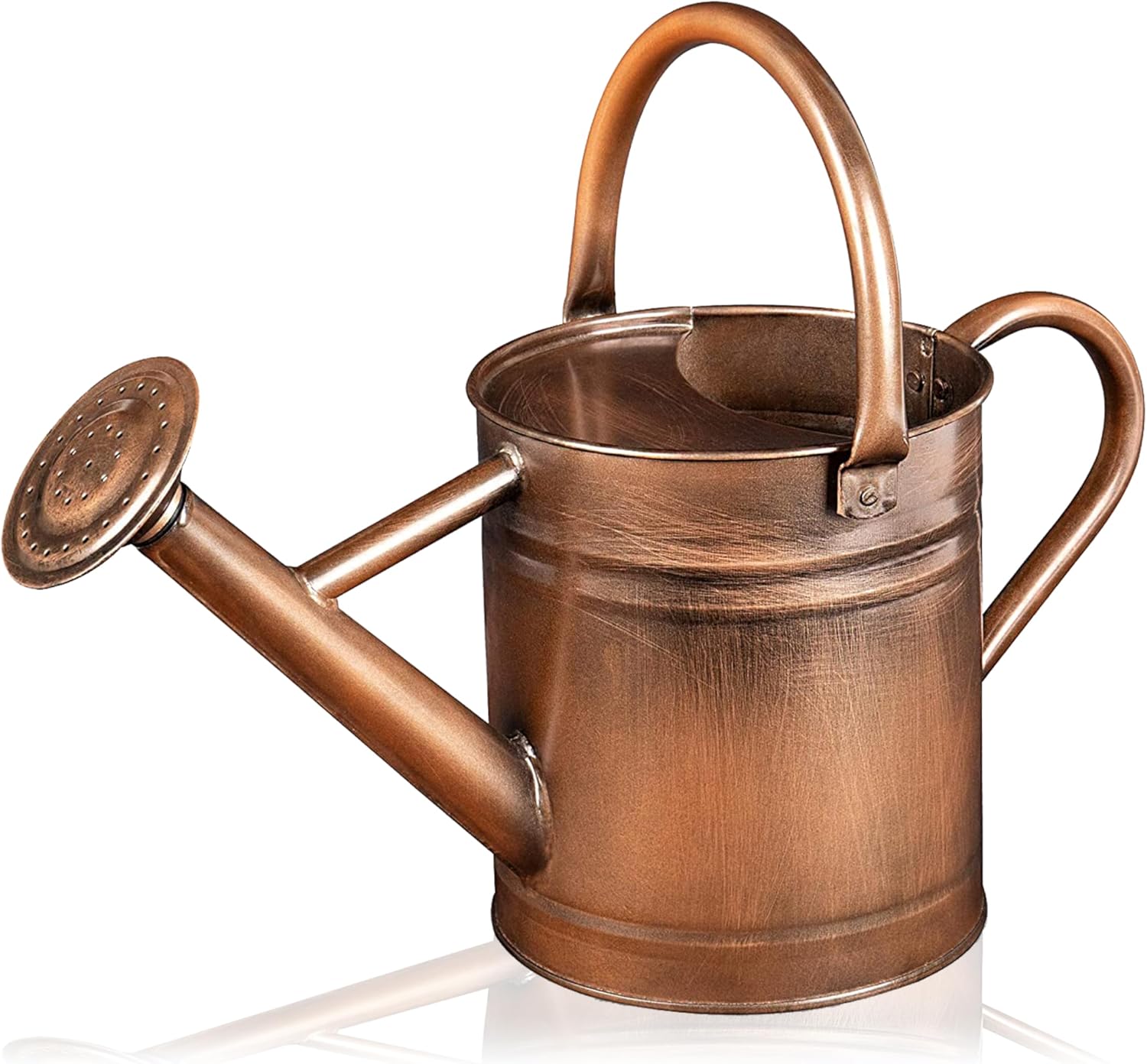 Regadera de jardinería